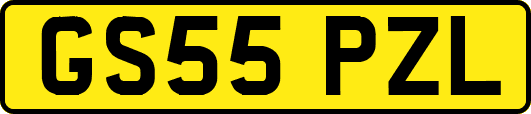 GS55PZL