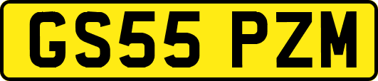 GS55PZM