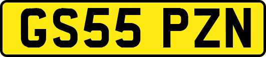 GS55PZN