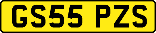 GS55PZS