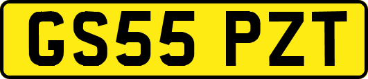 GS55PZT