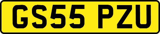 GS55PZU