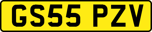 GS55PZV