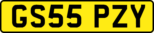 GS55PZY