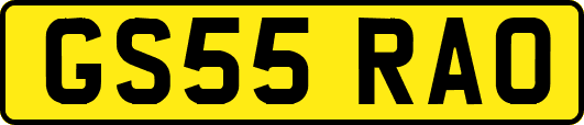 GS55RAO