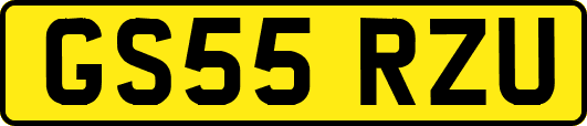 GS55RZU