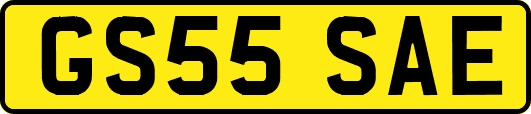 GS55SAE
