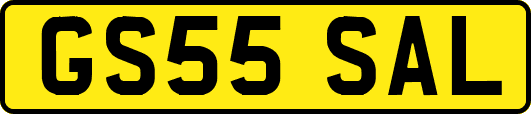 GS55SAL