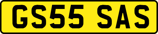 GS55SAS