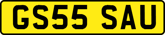 GS55SAU