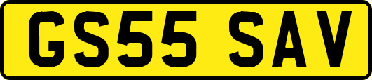 GS55SAV