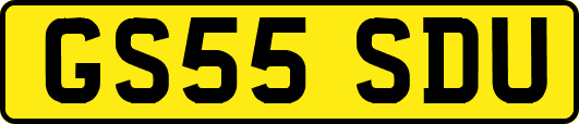 GS55SDU