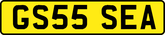 GS55SEA