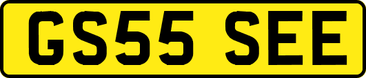 GS55SEE
