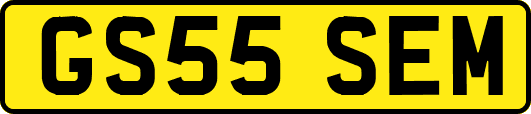 GS55SEM