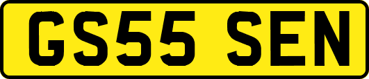 GS55SEN