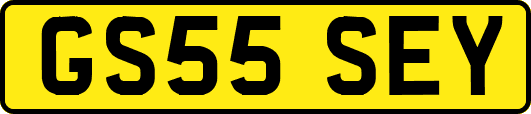 GS55SEY
