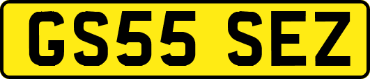 GS55SEZ