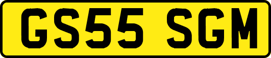 GS55SGM