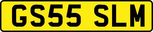 GS55SLM