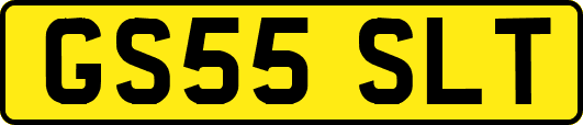 GS55SLT