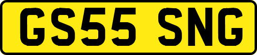 GS55SNG