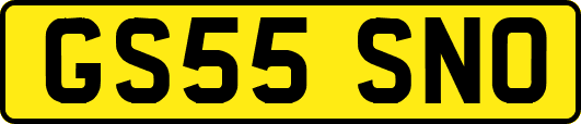GS55SNO