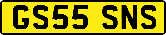 GS55SNS
