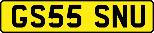 GS55SNU