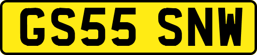 GS55SNW