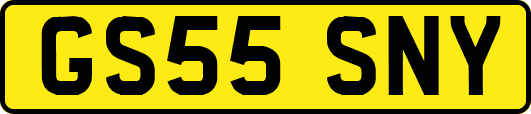 GS55SNY