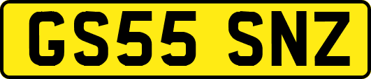 GS55SNZ