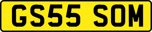 GS55SOM