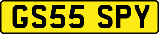 GS55SPY