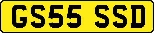 GS55SSD