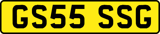 GS55SSG