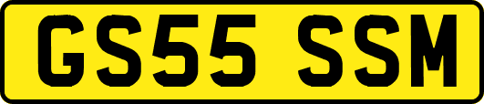 GS55SSM