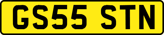 GS55STN
