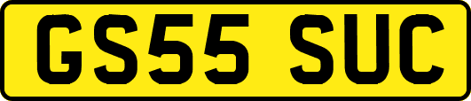 GS55SUC
