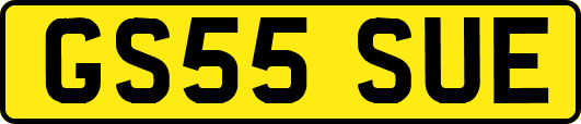 GS55SUE