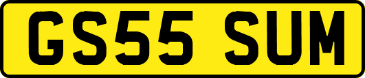 GS55SUM