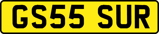 GS55SUR