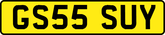 GS55SUY