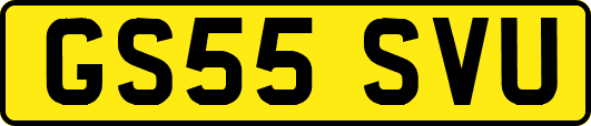 GS55SVU