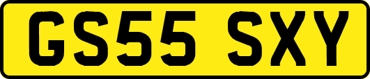 GS55SXY