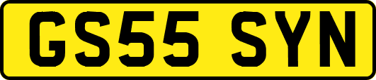 GS55SYN