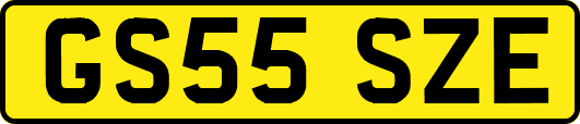 GS55SZE