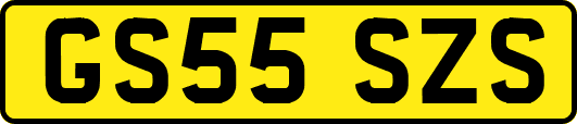 GS55SZS