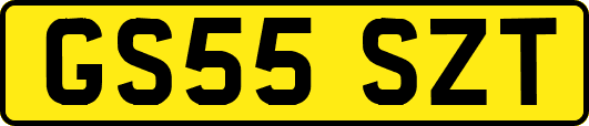 GS55SZT