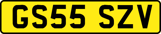 GS55SZV